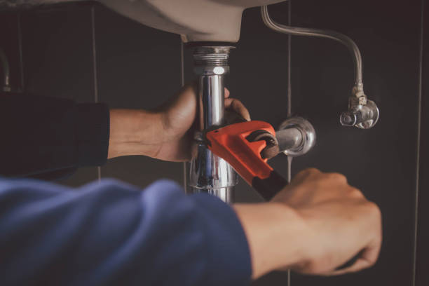 Best Plumbing Inspection Services  in Elverta, CA